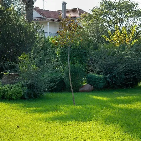Konstantina'S Suite Platamonas Exterior photo